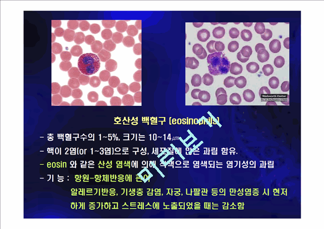 [의학,약학] 혈구관찰 및 혈액형 검사.ppt